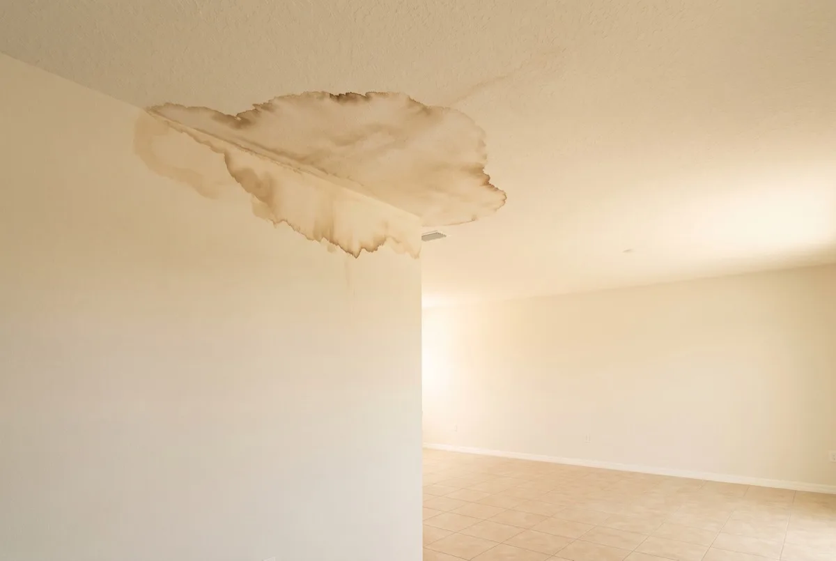 Water stain spreading on a residential ceiling