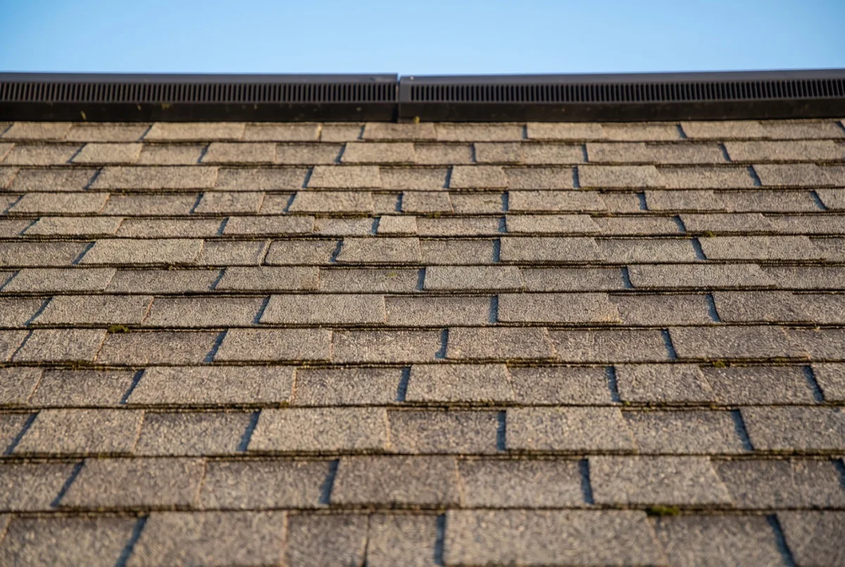 Asphalt shingle roof surface on a Florida home
